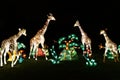 Fountain with an unique light decoration of giraffes.