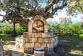 Fountain in village park of small Peloponnese Greek Village Kardamyli under old olive tree with view of villa in the background