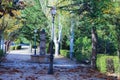 Fountain Village Street Surface Leaves Europe Royalty Free Stock Photo