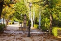 Fountain Village Street Surface Leaves Royalty Free Stock Photo