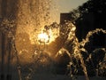 A Fountain in Washington DC Royalty Free Stock Photo