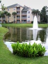 Fountain with water plants