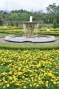 Fountain water in the public park full of colorful flowers