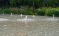 Fountain Water Texture Background, Falling Fresh Fountain Jets, Waterfall Splash Pattern, Summer Park Royalty Free Stock Photo