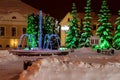 Fountain in the winter park at night Royalty Free Stock Photo