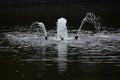 Fountainin the park Royalty Free Stock Photo