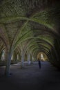 Fountains Abbey Cellarium ghost Royalty Free Stock Photo