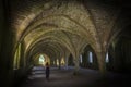 Fountains Abbey Cellarium ghost Royalty Free Stock Photo