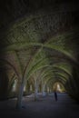 Fountains Abbey Cellarium ghost Royalty Free Stock Photo