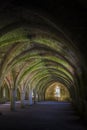 Fountains Abbey Cellarium Royalty Free Stock Photo