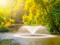 Fountains in the green summer park pond Royalty Free Stock Photo