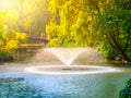 Fountains in the green summer park pond Royalty Free Stock Photo
