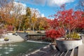 Fountains in Kharkiv city with red autumn trees