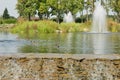 Fountains on the lake Royalty Free Stock Photo