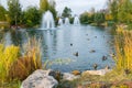 Fountains over a lake with ducks in a beautiful autumn park. Mezhigirya Ukraine