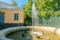 Fountains of Peterhof. View of Fountain Favorite in Lower park of Peterhof.