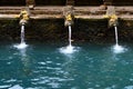 Fountains in Tirta Empul temple, Bali, Indonesia