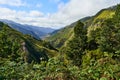 25 fountains, walk on the levadas in Madeira Royalty Free Stock Photo