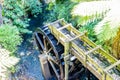 A strole through the Pukekura Park botanical gardens. New Plymouth Taranaki New Zealand