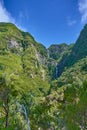 25 fountains, waterfall, walk on the levadas in Madeira Royalty Free Stock Photo