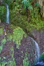 25 fountains, waterfall, walk on the levadas in Madeira Royalty Free Stock Photo