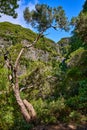 25 fountains, waterfall, walk on the levadas in Madeira Royalty Free Stock Photo