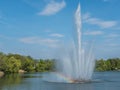 Fountains on the Zwickau Swan Pond