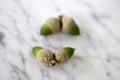 Four acorns Royalty Free Stock Photo