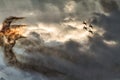 Four airplanes formation on a sunset sky at an air show