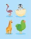 four animals babies characters