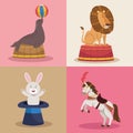 four animals circus characters Royalty Free Stock Photo