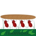 Four ants as a team
