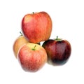 Four apples Royalty Free Stock Photo