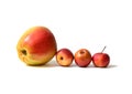 Four apples Royalty Free Stock Photo