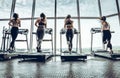 Four attractive young sports women is working out in gym. Royalty Free Stock Photo