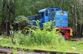 Four-axle shunting locomotive TGM4 1182 at the entrance way