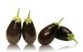 Four Baby Aubergine Eggplants Royalty Free Stock Photo