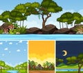 Four background different nature scenes with green trees in different times Royalty Free Stock Photo