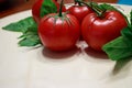 Four big dark red tomatoes on a vine on a light wooden table Royalty Free Stock Photo