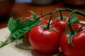 Four big red tomatoes on a green vine on a light wooden table Royalty Free Stock Photo