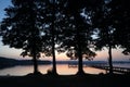 Four big trees and late sunset by the lake at Polish Masuria district (Mazury) Royalty Free Stock Photo