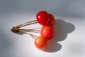 Four Bigarreau Cherries on White Background