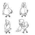 Four birds character Royalty Free Stock Photo