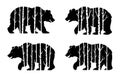Four Black Bears Silhouetted with Birch Tree Forest Interior Royalty Free Stock Photo