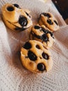 Four Black Berry Cookies