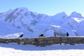 Four black crows on stone fence Royalty Free Stock Photo