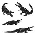 Four black and white vector illustrations of alligators with open mouths Royalty Free Stock Photo