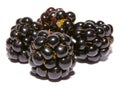 Four blackberries