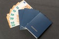Four blue passports with blank covers and cash euros on gray background. Budget travel by company or family. State payments
