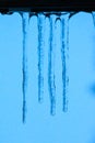Four blue very long icicles on a blue sunset background close up Royalty Free Stock Photo